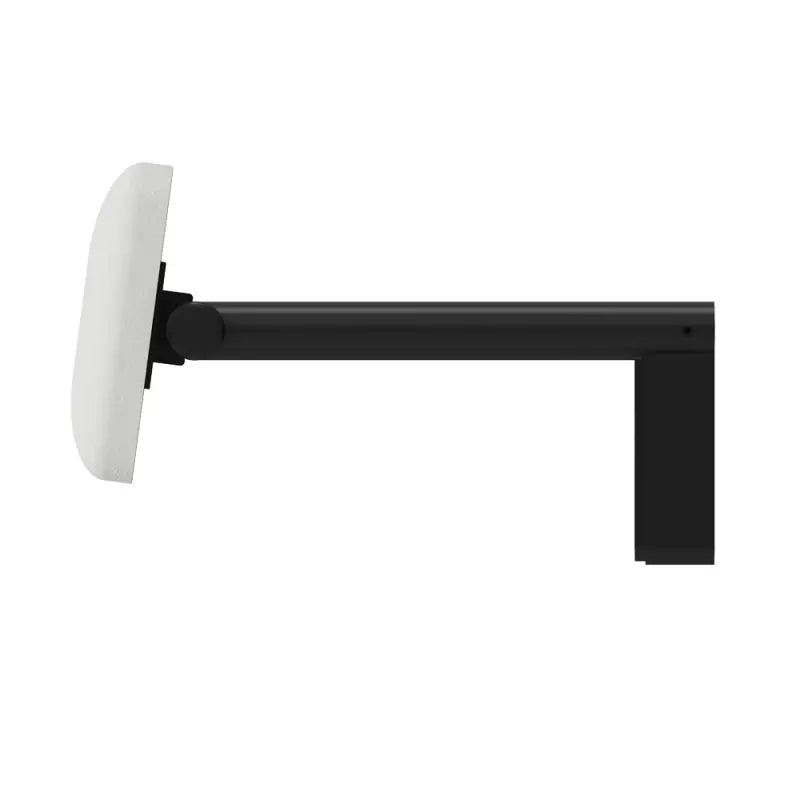 Care Back Rest, Matte Black fienza