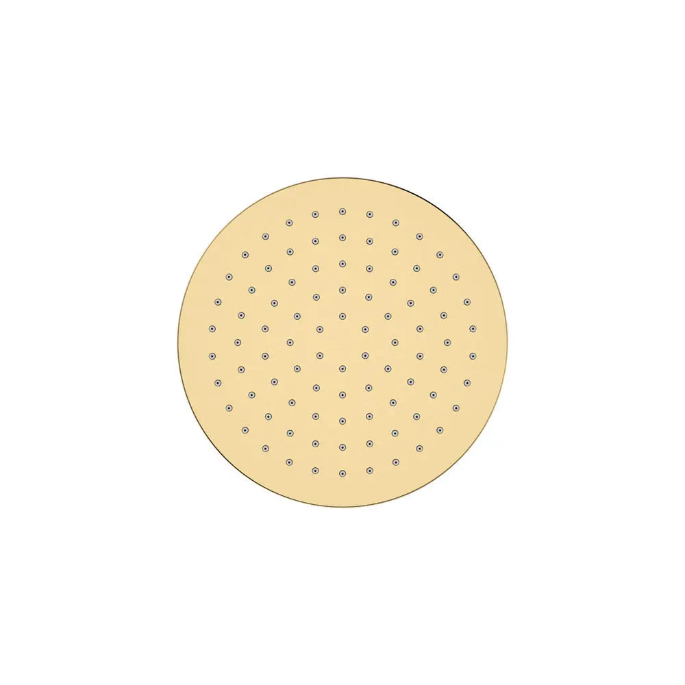 Starry Eco Flow Shower Head, Urban Brass fienza