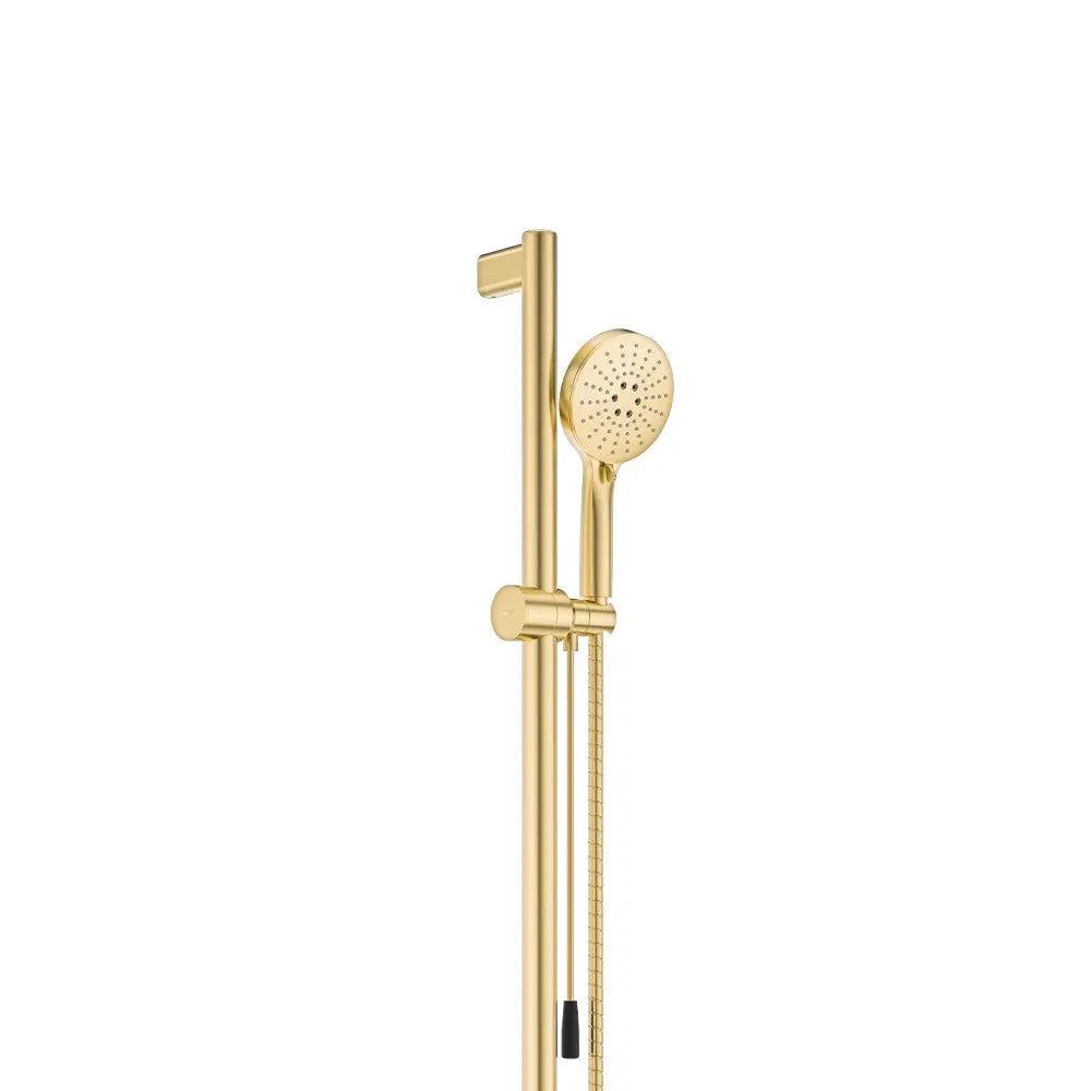 Care Rail Shower with Push/Pull Slider, Urban Brass fienza