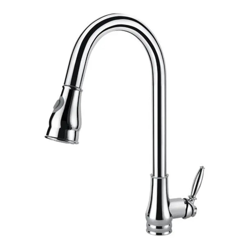 Chrome Pull Out Kitchen Mixer Aquaperla