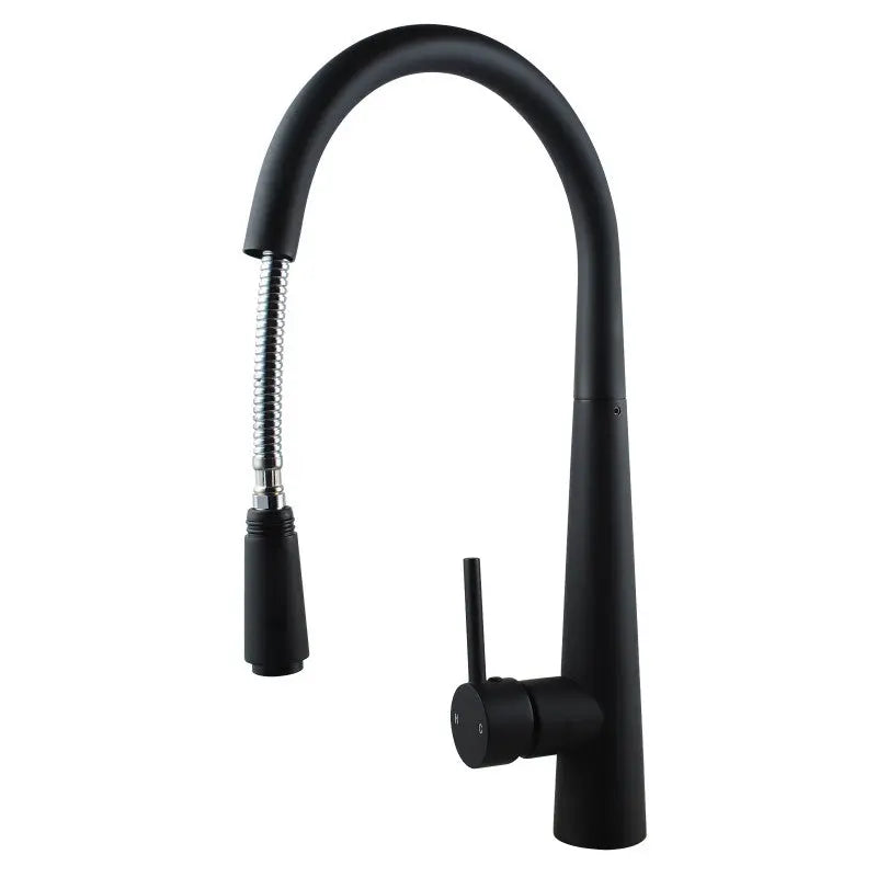 Black Pull Out Kitchen Mixer Aquaperla