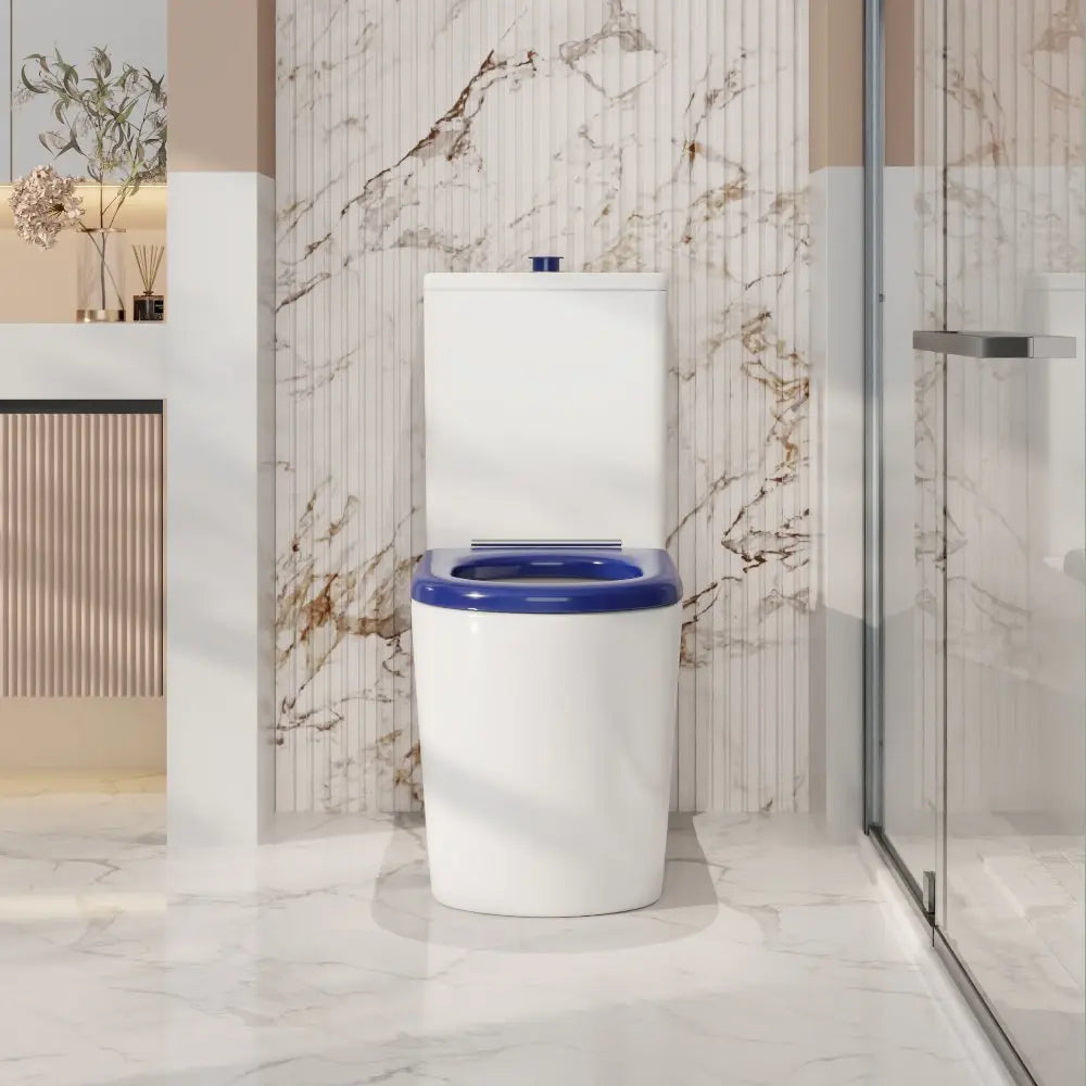 Pani Care-Accessible Back-to-Wall Toilet mercioaustralia