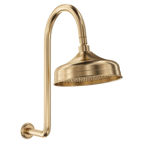 Wall Shower Arm & Head Set