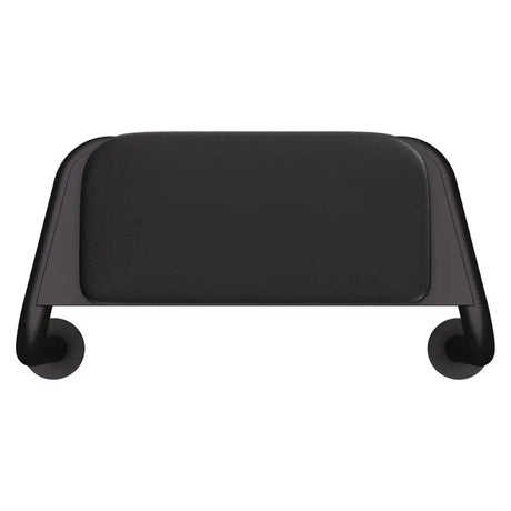 Care Back Rest with Cushion Plate, Matte Black fienza