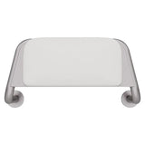 Care Back Rest with Cushion Plate, Stainless Steel fienza