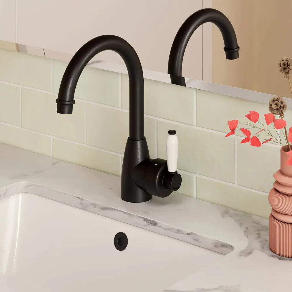 Eleanor Gooseneck Basin Mixer, Matte Black / Ceramic fienza