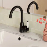 Eleanor Gooseneck Basin Mixer, Matte Black / Ceramic fienza