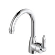 Eleanor Gooseneck Basin Mixer, Chrome / Chrome fienza