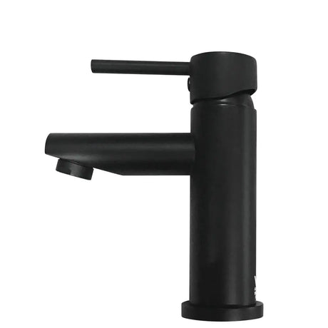 Hustle Basin Mixer fienza