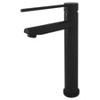 Hustle Care Tall Basin Mixer fienza