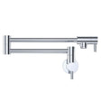 Kaya Pot Filler, Chrome fienza