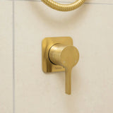 Sansa Wall Mixer, Square Plate, Urban Brass fienza