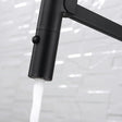 Sansa Pull Down Sink Mixer, Brushed Nickel fienza