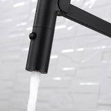 Sansa Pull Down Sink Mixer, Brushed Nickel fienza