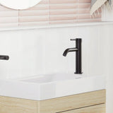 Axle Basin Mixer, Matte Black fienza