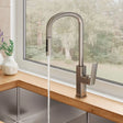 Tono Pull Out Sink Mixer, Brushed Nickel fienza