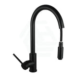 Black Pull Out Kitchen Mixer Aquaperla
