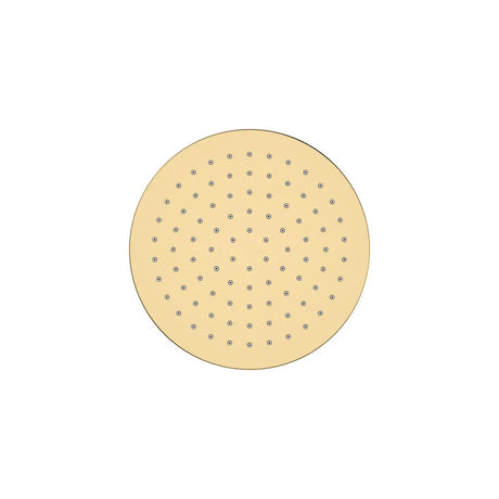Starry Eco Flow Shower Head, Urban Brass fienza
