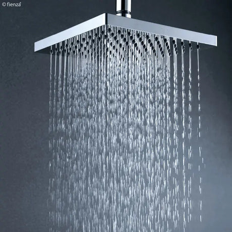 Lucite Shower Head, 200mm fienza