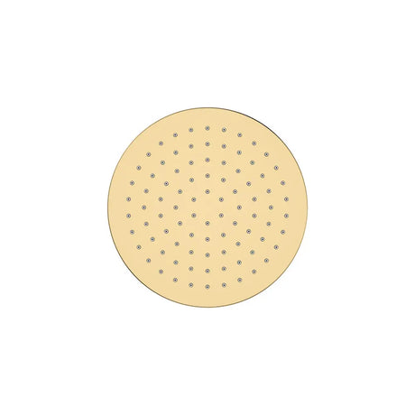 Starry Shower Head, 200mm, Urban Brass fienza