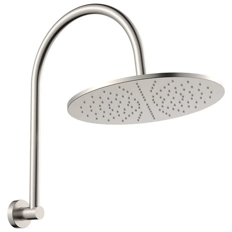Empire Slim Curved Shower Arm Set, Brushed Nickel fienza