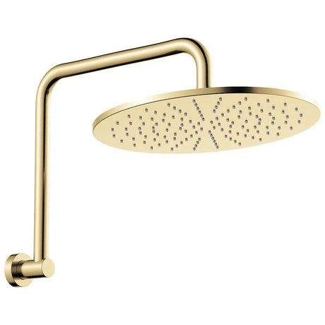Empire Slim Gooseneck Shower Arm Set, Urban Brass fienza