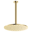 Empire Slim Ceiling Shower 300mm Head, 350mm Drop, Urban Brass fienza