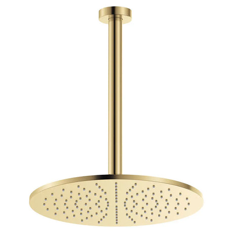 Empire Slim Ceiling Shower 300mm Head, 350mm Drop, Urban Brass fienza