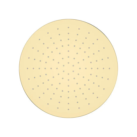 Starry Shower Head, 300mm, Urban Brass fienza