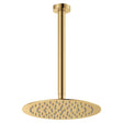 Kaya Ceiling Shower 250mm Head, 350mm Drop, Urban Brass fienza