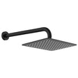 Tono Shower Arm Set, Matte Black fienza