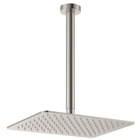 Tono Shower Dropper Set, Brushed Nickel fienza