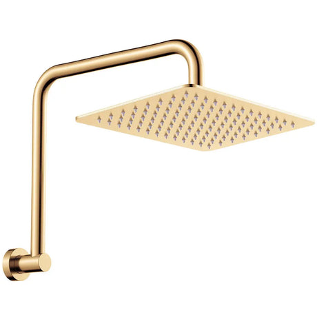 Tono Gooseneck Shower Arm Set, Urban Brass fienza
