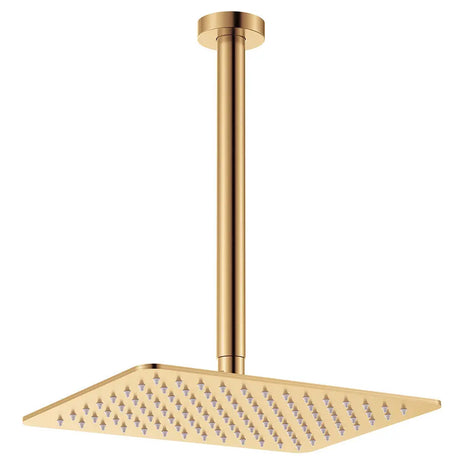 Tono Shower Dropper Set, Urban Brass fienza
