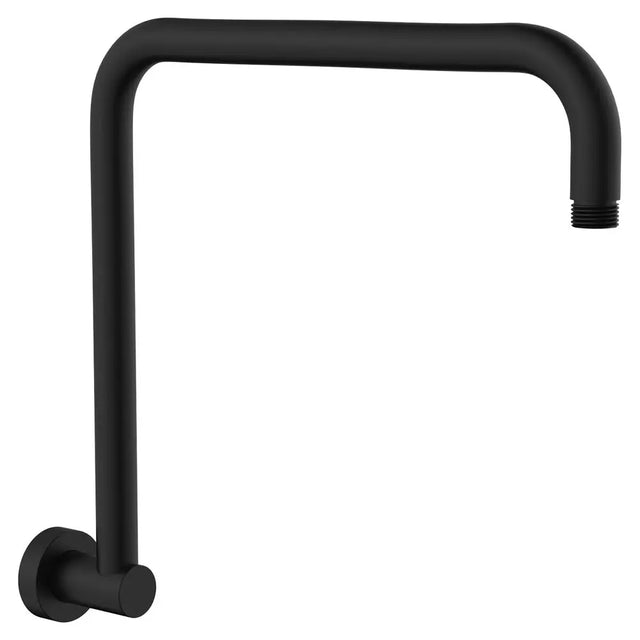 Round Fixed Gooseneck Shower Arm, Matte Black fienza