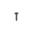Round Shower Dropper, 100mm, Gun Metal fienza