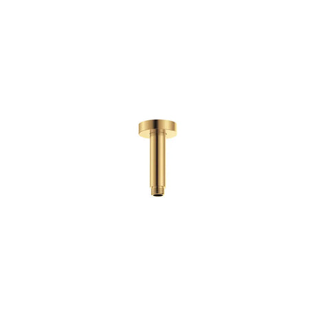 Round Shower Dropper, 100mm, Urban Brass fienza