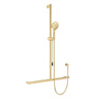 Care Inverted T Rail Shower with Push/Pull Slider, Urban Brass fienza