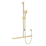 Care Inverted T Rail Shower with Push/Pull Slider, Urban Brass fienza