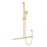 Care Inverted T Rail Shower, Urban Brass fienza