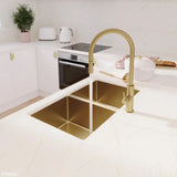 Hana 27L/27L Double Kitchen Sink, PVD Rugged Brass fienza