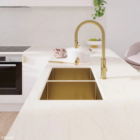 Hana 27L/27L Double Kitchen Sink, PVD Rugged Brass fienza