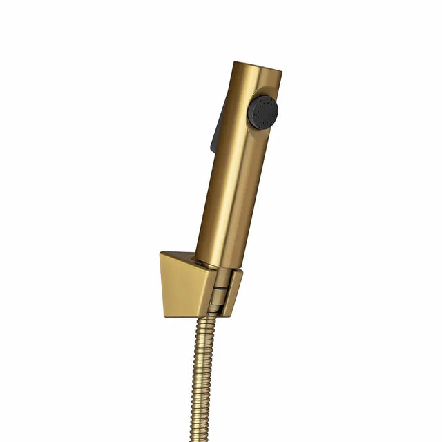 Brushed Brass ABS Toilet Bidet Aquaperla