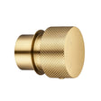 Progressive Brushed Brass Handle Aquaperla