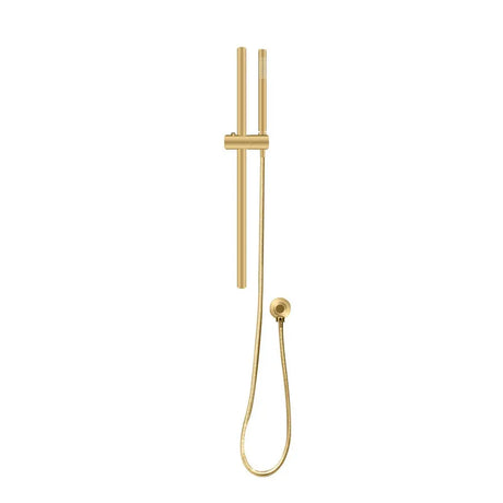 Brushed Brass Shower Rail with Handheld Shower Aquaperla