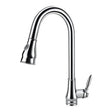 Chrome Pull Out Kitchen Mixer Aquaperla