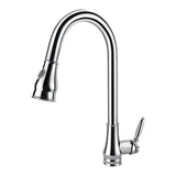 Chrome Pull Out Kitchen Mixer Aquaperla