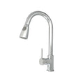 Chrome Pull Out Kitchen Mixer Aquaperla