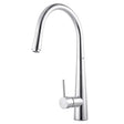 Chrome Pull Out Kitchen Mixer Aquaperla