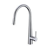 Chrome Pull Out Kitchen Mixer Aquaperla
